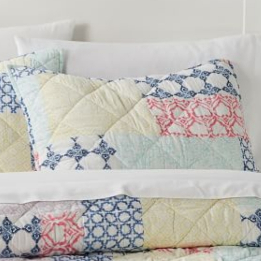 NWT PB Teen Sarah quilted shams - Picture 2 of 3